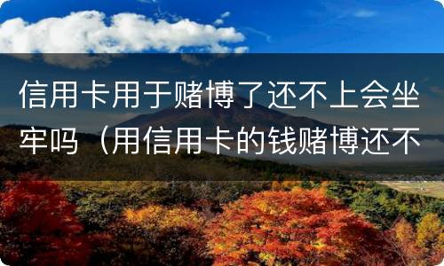 信用卡用于赌博了还不上会坐牢吗（用信用卡的钱赌博还不起怎么办）