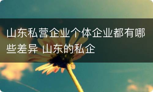 山东私营企业个体企业都有哪些差异 山东的私企