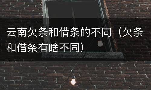 云南欠条和借条的不同（欠条和借条有啥不同）