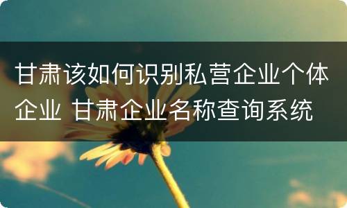 甘肃该如何识别私营企业个体企业 甘肃企业名称查询系统