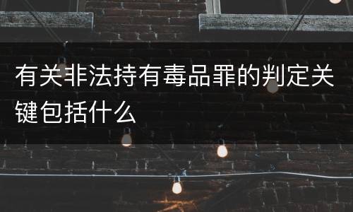 有关非法持有毒品罪的判定关键包括什么