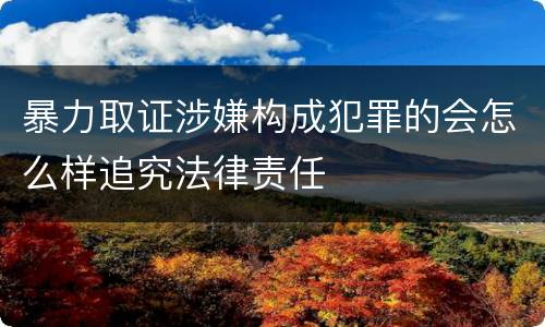 暴力取证涉嫌构成犯罪的会怎么样追究法律责任