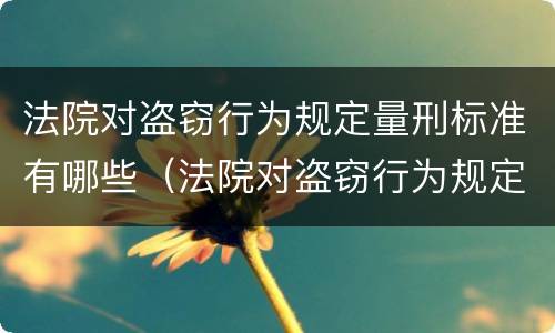 法院对盗窃行为规定量刑标准有哪些（法院对盗窃行为规定量刑标准有哪些处罚）