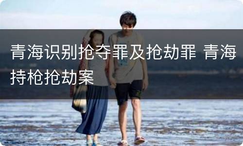 青海识别抢夺罪及抢劫罪 青海持枪抢劫案