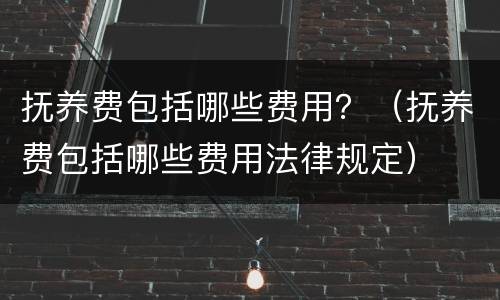 抚养费包括哪些费用？（抚养费包括哪些费用法律规定）
