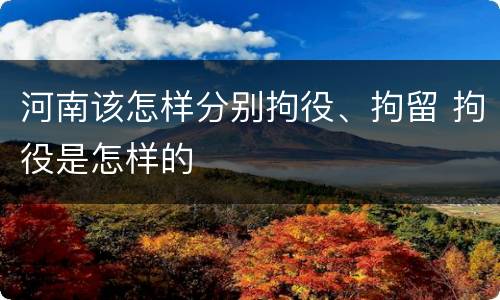 河南该怎样分别拘役、拘留 拘役是怎样的