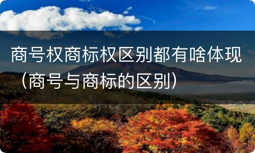商号权商标权区别都有啥体现（商号与商标的区别）