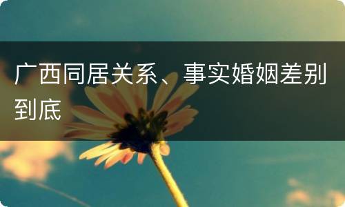 广西同居关系、事实婚姻差别到底