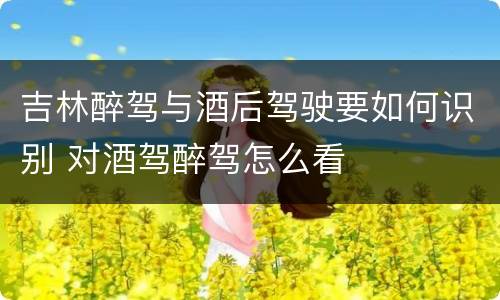 吉林醉驾与酒后驾驶要如何识别 对酒驾醉驾怎么看