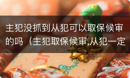 主犯没抓到从犯可以取保候审的吗（主犯取保候审,从犯一定也可以取保候审吗）