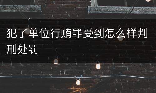 犯了单位行贿罪受到怎么样判刑处罚