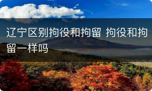 辽宁区别拘役和拘留 拘役和拘留一样吗
