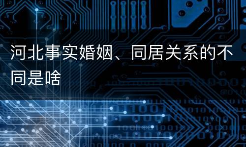 河北事实婚姻、同居关系的不同是啥