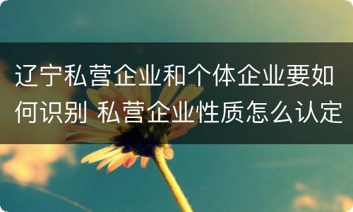 辽宁私营企业和个体企业要如何识别 私营企业性质怎么认定