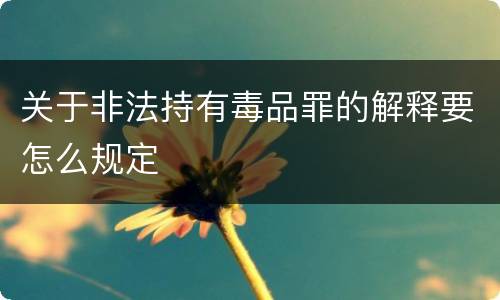 关于非法持有毒品罪的解释要怎么规定