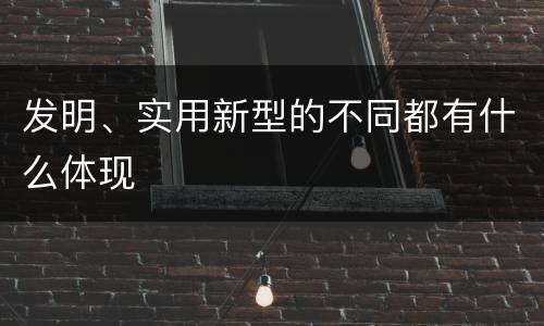 发明、实用新型的不同都有什么体现
