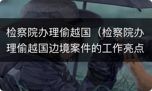 检察院办理偷越国（检察院办理偷越国边境案件的工作亮点）