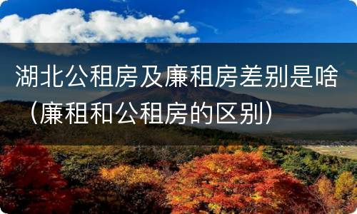 湖北公租房及廉租房差别是啥（廉租和公租房的区别）