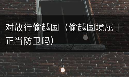 对放行偷越国（偷越国境属于正当防卫吗）