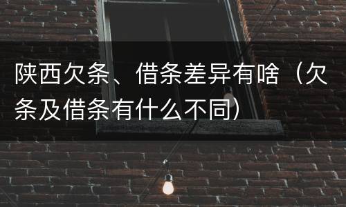 陕西欠条、借条差异有啥（欠条及借条有什么不同）