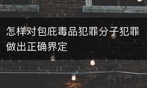 怎样对包庇毒品犯罪分子犯罪做出正确界定