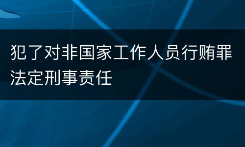 犯了对非国家工作人员行贿罪法定刑事责任