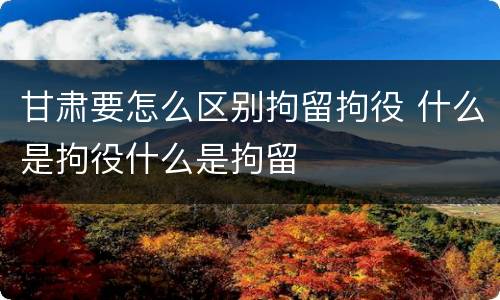 甘肃要怎么区别拘留拘役 什么是拘役什么是拘留