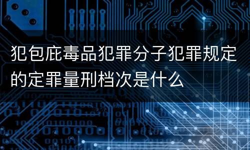 犯包庇毒品犯罪分子犯罪规定的定罪量刑档次是什么