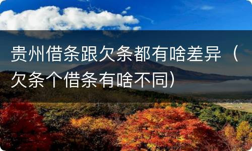 贵州借条跟欠条都有啥差异（欠条个借条有啥不同）