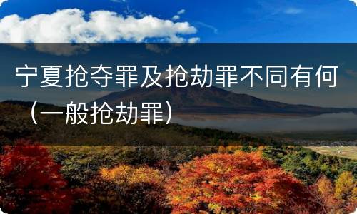 宁夏抢夺罪及抢劫罪不同有何（一般抢劫罪）