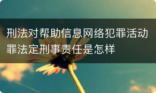 刑法对帮助信息网络犯罪活动罪法定刑事责任是怎样