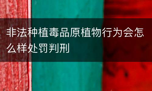 非法种植毒品原植物行为会怎么样处罚判刑