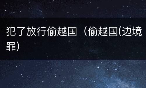 犯了放行偷越国（偷越国(边境罪）