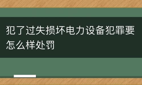 犯了过失损坏电力设备犯罪要怎么样处罚