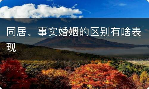 同居、事实婚姻的区别有啥表现