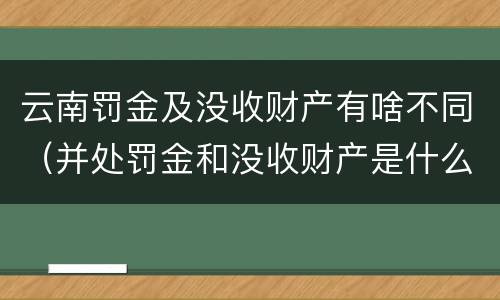 云南罚金及没收财产有啥不同（并处罚金和没收财产是什么意思）