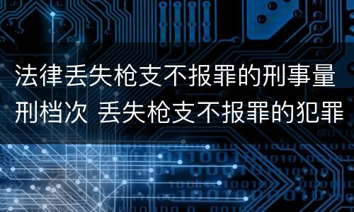 法律丢失枪支不报罪的刑事量刑档次 丢失枪支不报罪的犯罪主体只能是什么