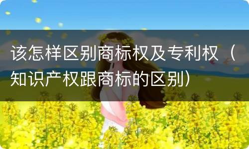 该怎样区别商标权及专利权（知识产权跟商标的区别）
