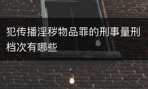 犯传播淫秽物品罪的刑事量刑档次有哪些