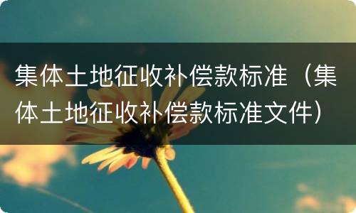 集体土地征收补偿款标准（集体土地征收补偿款标准文件）