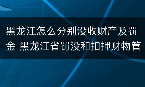 黑龙江怎么分别没收财产及罚金 黑龙江省罚没和扣押财物管理条例