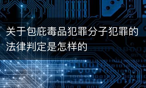 关于包庇毒品犯罪分子犯罪的法律判定是怎样的