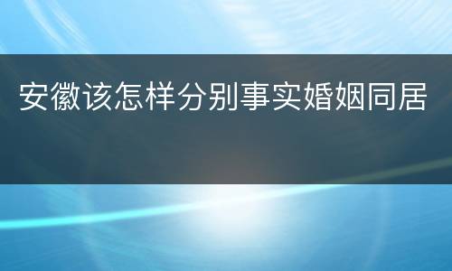 安徽该怎样分别事实婚姻同居