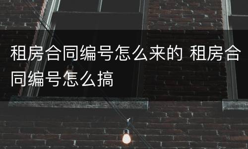 租房合同编号怎么来的 租房合同编号怎么搞
