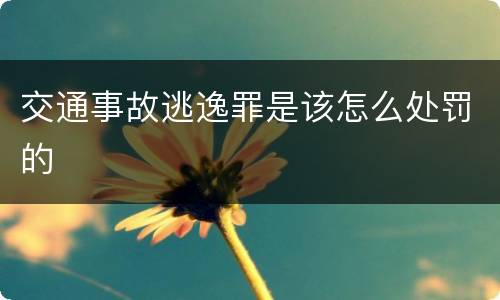 交通事故逃逸罪是该怎么处罚的