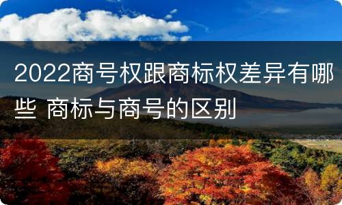 2022商号权跟商标权差异有哪些 商标与商号的区别