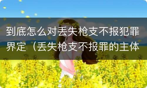 到底怎么对丢失枪支不报犯罪界定（丢失枪支不报罪的主体是什么）