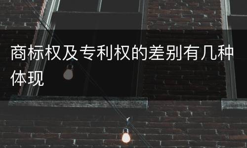 商标权及专利权的差别有几种体现