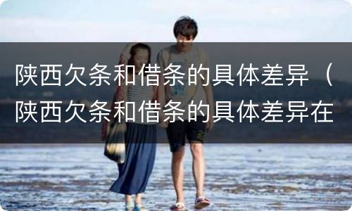 陕西欠条和借条的具体差异（陕西欠条和借条的具体差异在哪里）