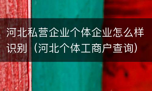 河北私营企业个体企业怎么样识别（河北个体工商户查询）